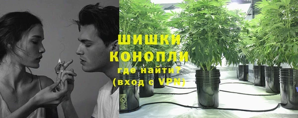 прущие крисы Вязьма