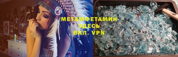 шишки Тавда