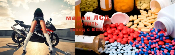 прущие крисы Вязьма