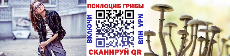 нарко площадка официальный сайт  МЕГА ССЫЛКА  Череповец  Галлюциногенные грибы MAGIC MUSHROOMS 