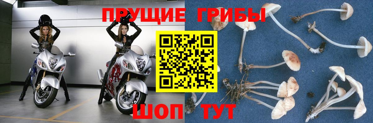 Галлюциногенные грибы прущие грибы  Вход с VPN  Череповец 